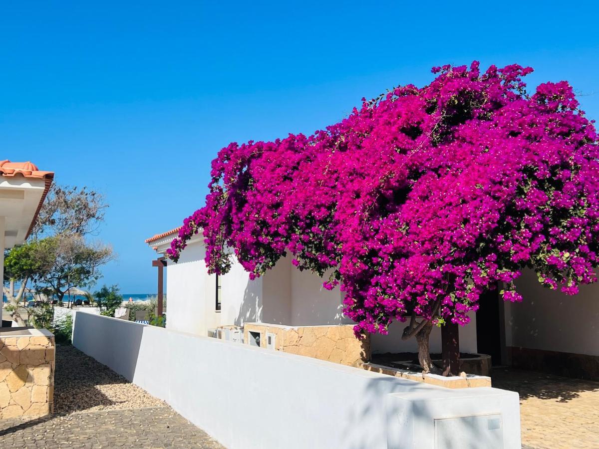 Villa With Privat Pool Near Beach Santa Maria Sal Kap Verde Экстерьер фото