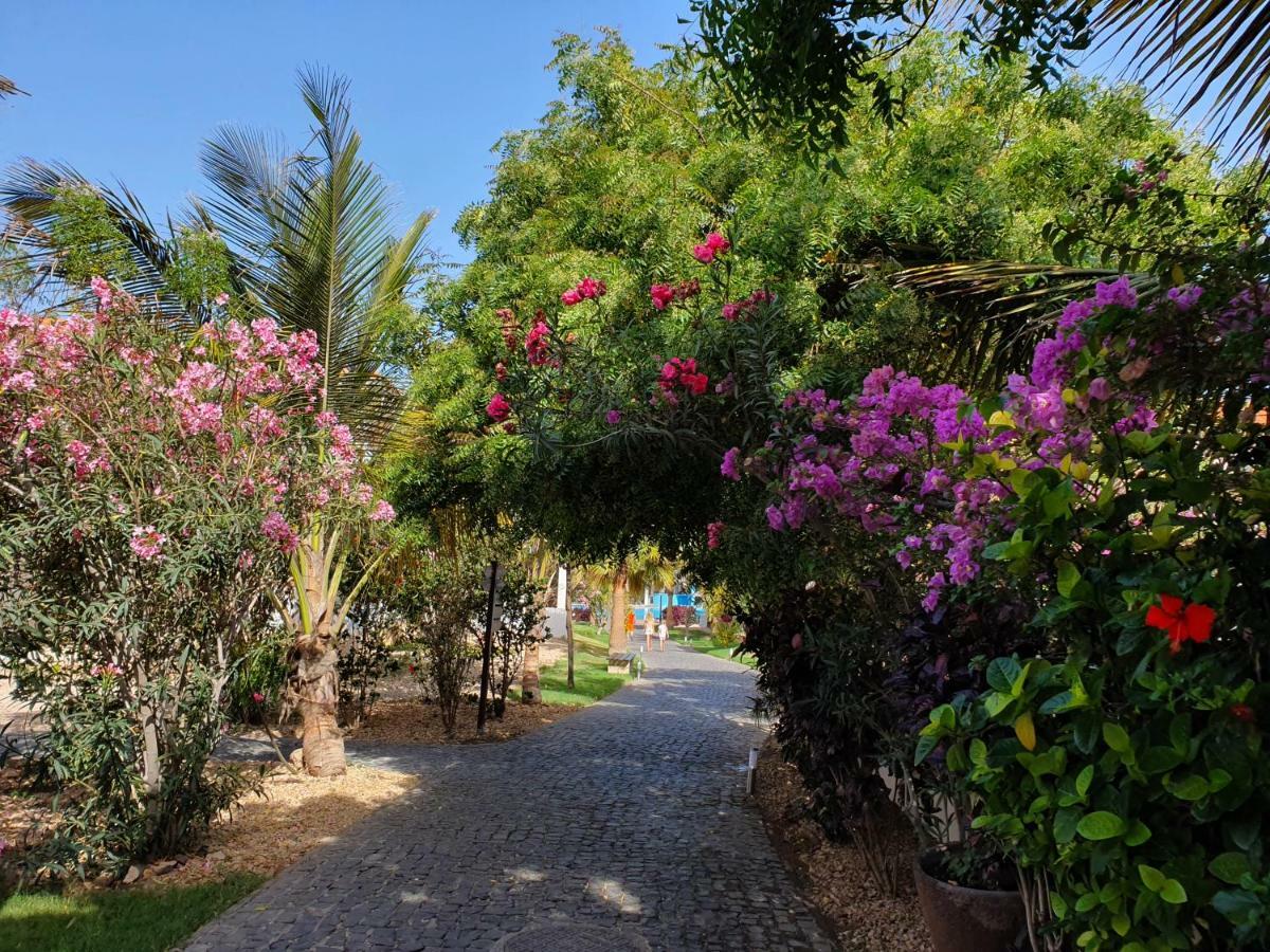 Villa With Privat Pool Near Beach Santa Maria Sal Kap Verde Экстерьер фото